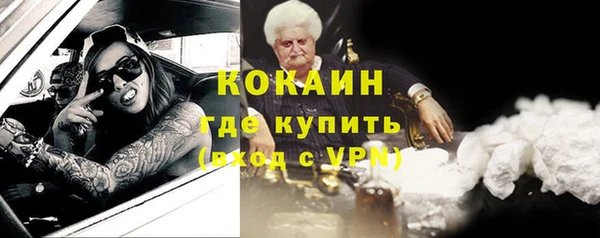 прущие грибы Баксан