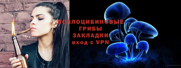 шишки Балабаново