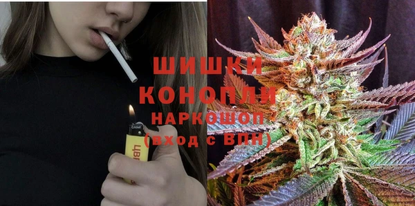 шишки Балабаново
