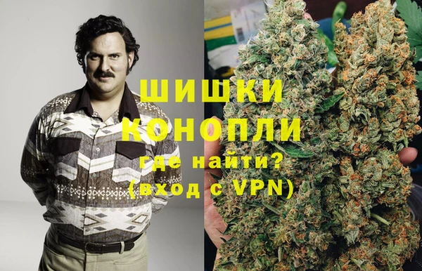 прущие грибы Балахна