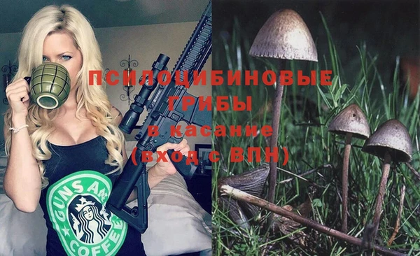 шишки Балабаново