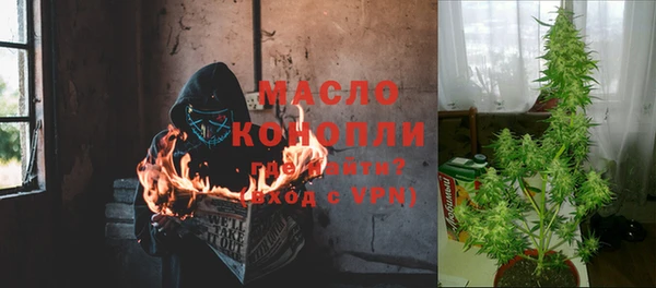 прущие грибы Балахна