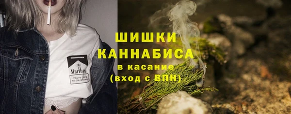 прущие грибы Баксан